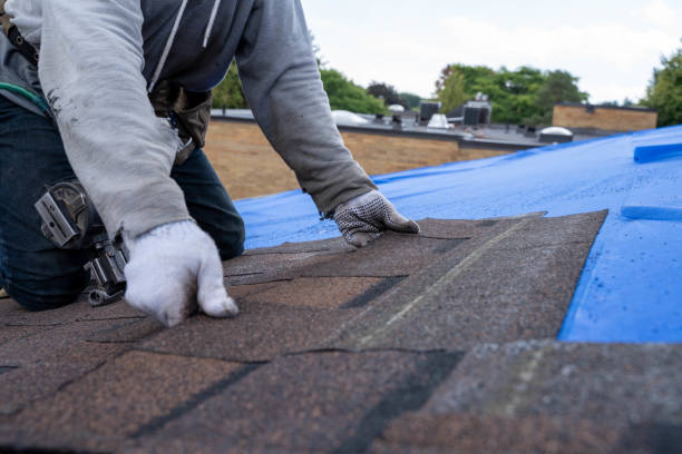Roof Waterproofing Services in Rushville, NE
