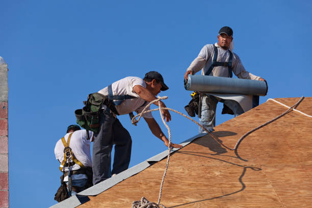 Best Roof Waterproofing Services  in Rushville, NE